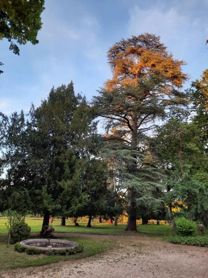 Gite De Charme A 15Mn De Bordeaux Autonomie 100% Camblanes-et-Meynac Экстерьер фото